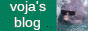 voja's blog website pin